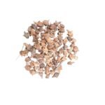 Gokhru गोखरू