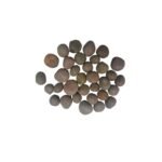 Kanja कंजा (करंजा)