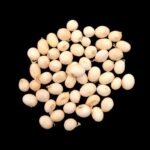 Safed Ghumchi सफेद घुंमची