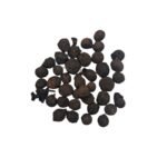 Sugandh Kokila सुगंध कोकिला