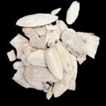 Samudra Phena समुद्री फेन